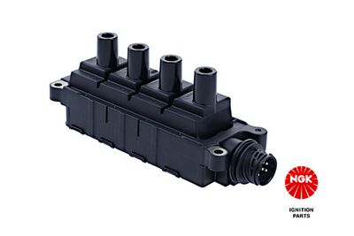 ritė, uždegimas 48133 NGK