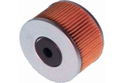 Kavo Parts Kuro filtras