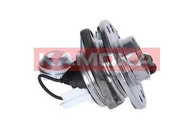 Wheel Bearing Kit 5500137