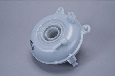 VAS DE EXPANSIUNE RACIRE