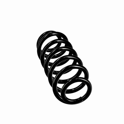 ARC SPIRAL EIBACH R10615 12