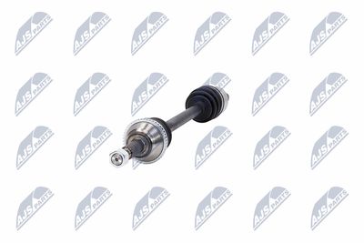 PLANETARA NTY NPWFR031 18