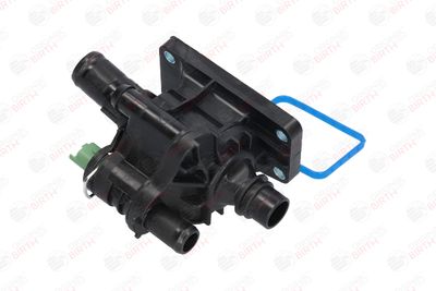 FLANSA LICHID RACIRE BIRTH 8910 3