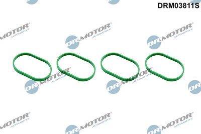 Dr.Motor Automotive Tarpiklių rinkinys, įsiurbimo kolektorius