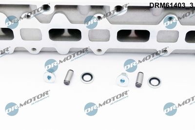 CHIULASA Dr.Motor Automotive DRM61403 3