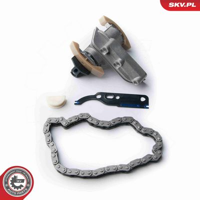 CHIT LANT DE DISTRIBUTIE ESEN SKV 21SKV010