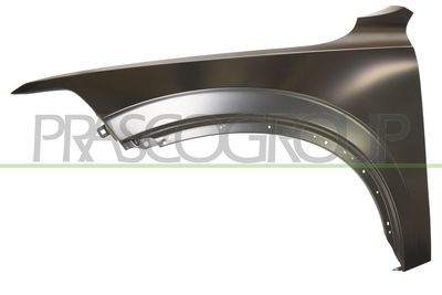 ARIPA PRASCO VV7163014