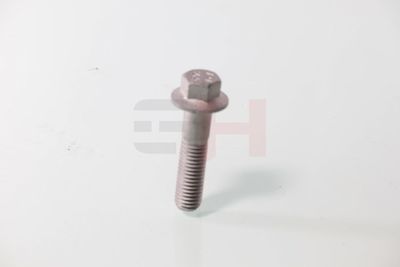 SURUB CAPAT DE AX GH GH392549 29