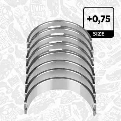 SET RULEMT ARBORE COTIT