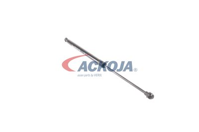 AMORTIZOR PORTBAGAJ ACKOJA A380339 21