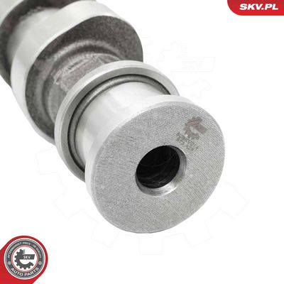 AX CU CAME ESEN SKV 80SKV014 3