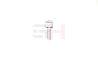 SURUB DE GOLIRE AX GH GH399902 13