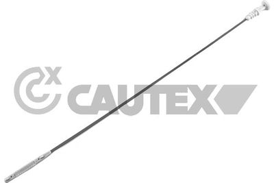 CAUTEX 769822 Щуп масляный  для SMART (Смарт)