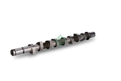 AX CU CAME Schaeffler INA 428016310 2