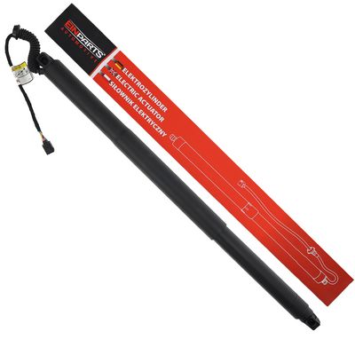 Elektromotor, vrata prtljažnika Einparts Automotive EPGSA021