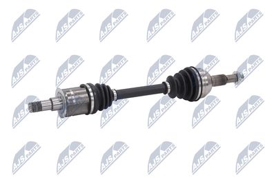 PLANETARA NTY NPWCH161 4