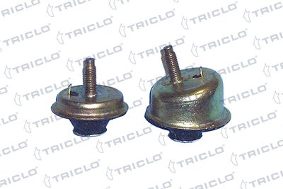 окачване, двигател TRICLO 361630