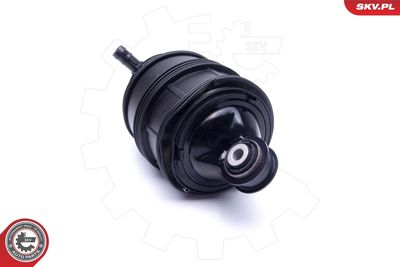 Air Spring, suspension 58SKV057