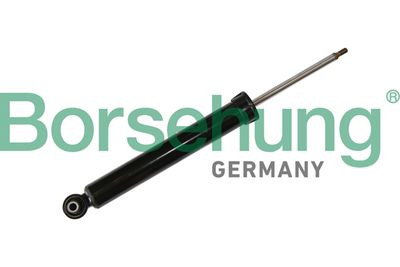 Borsehung Amortizatorius