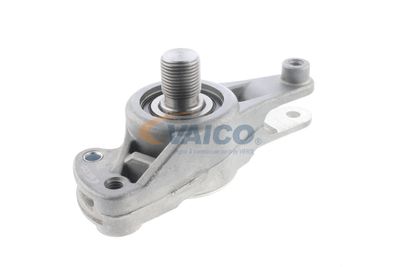 INTINZATOR CUREA TRANSMISIE VAICO V300351 31