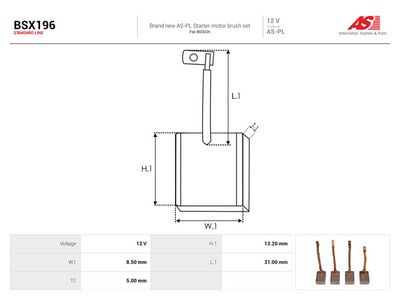 Kolborste, startmotor AS-PL BSX196