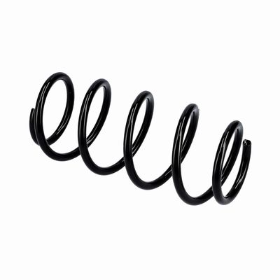 ARC SPIRAL EIBACH R10341 21