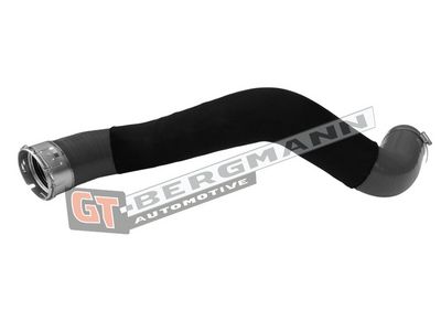 GT-BERGMANN Automotive Kompresoriaus padavimo žarna