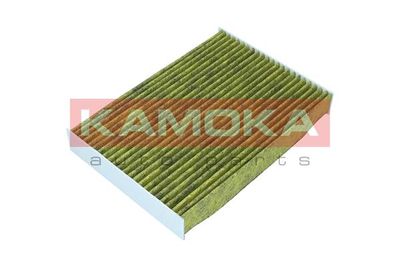 Filter, cabin air 6080160