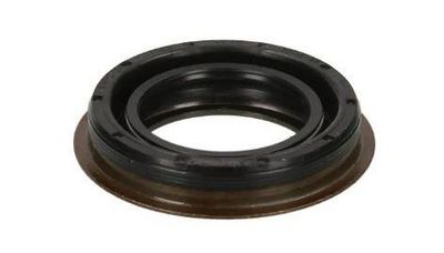 SIMERING DIFERENTIAL PAYEN NA5508 2