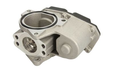 EGR Valve ENT500025