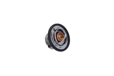 TERMOSTAT LICHID RACIRE