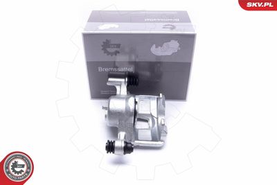 Brake Caliper 50SKV802