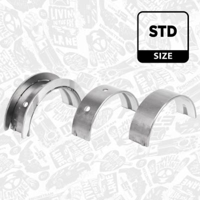 SET RULEMT ARBORE COTIT ET ENGINETEAM LH004800 1