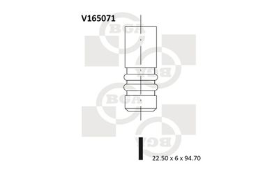 BGA V165071 Клапан выпускной  для FIAT BRAVA (Фиат Брава)