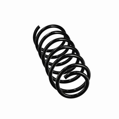 ARC SPIRAL EIBACH R10971 12