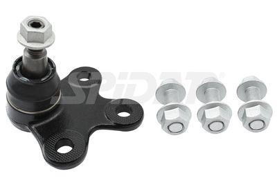 ARTICULATIE SARCINA/GHIDARE