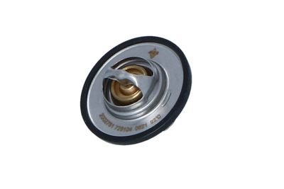 TERMOSTAT LICHID RACIRE NRF 725104 11