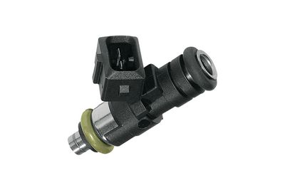 BOSCH Einspritzventil