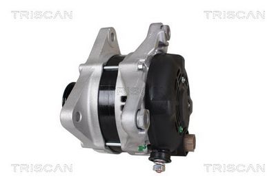 Generator TRISCAN 8310 69013