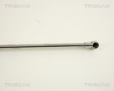 Gasfjeder, motorhjelm TRISCAN 8710 38102