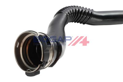 FURTUN EAR SUPRAALIMENTARE BOGAP B1711182 4