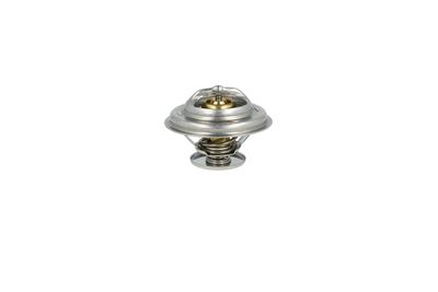 TERMOSTAT LICHID RACIRE NRF 725071 46
