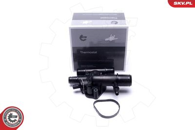Termostat, środek chłodzący ESEN SKV 20SKV204