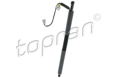 galinių durų elektros variklis 504843 TOPRAN
