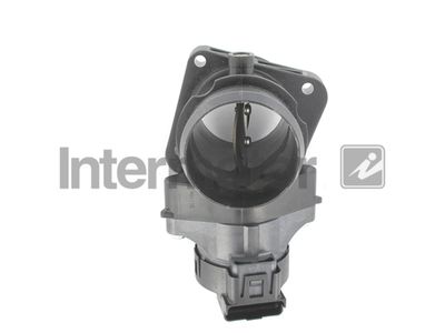 Throttle Body Intermotor 68376