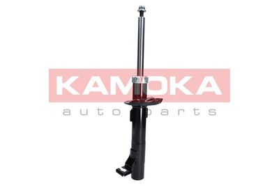 Shock Absorber 2000262