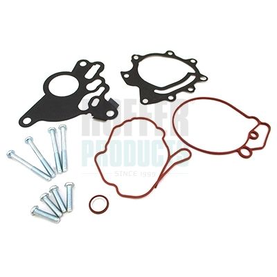 SET REPARATIE POMPA VACUUM (SISTE FRANA)