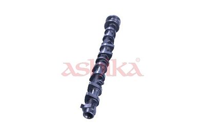AX CU CAME ASHIKA 16TY011 2