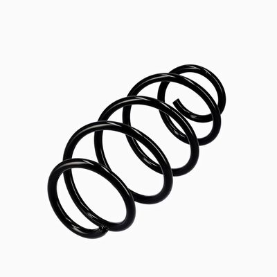 ARC SPIRAL EIBACH R10302 3