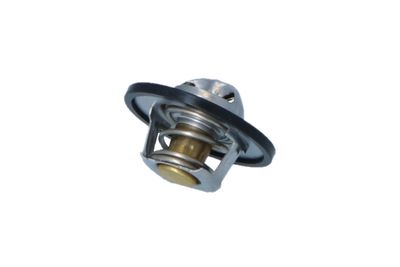 TERMOSTAT LICHID RACIRE NRF 725156 31